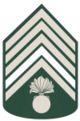 Army-KBA-OR-10a.png