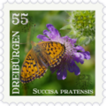 Briefmarke Succisa.png