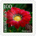 Briefmarke Gazania.png
