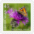 Briefmarke Centaurea.png