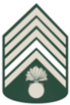 Army-KBA-OR-10a.png