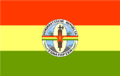 Finale Flagge der D.R.I. (Wikieintrag) PNG.png
