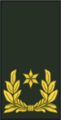 Brigadegeneraal.png