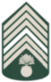 Army-KBA-OR-10b.png