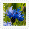 Briefmarke Kornblume.png