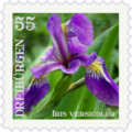 Briefmarke Iris.png