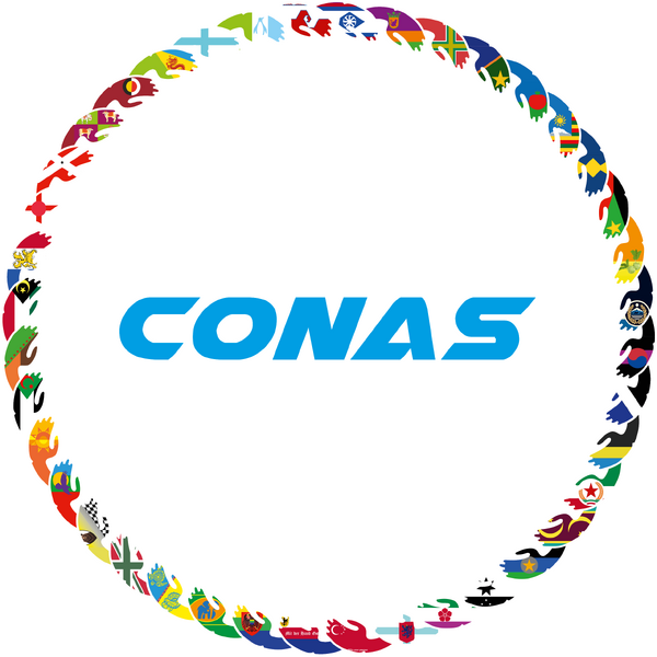 Datei:Plenarsaal CONAS.png